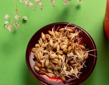 Sprouted seeds in a red bowl on green background with white flowers and red candle.