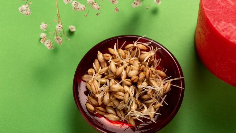 Sprouted seeds in a red bowl on green background with white flowers and red candle.